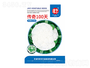 青梗松花菜種子-傳奇100天-邯豐農(nóng)業(yè)